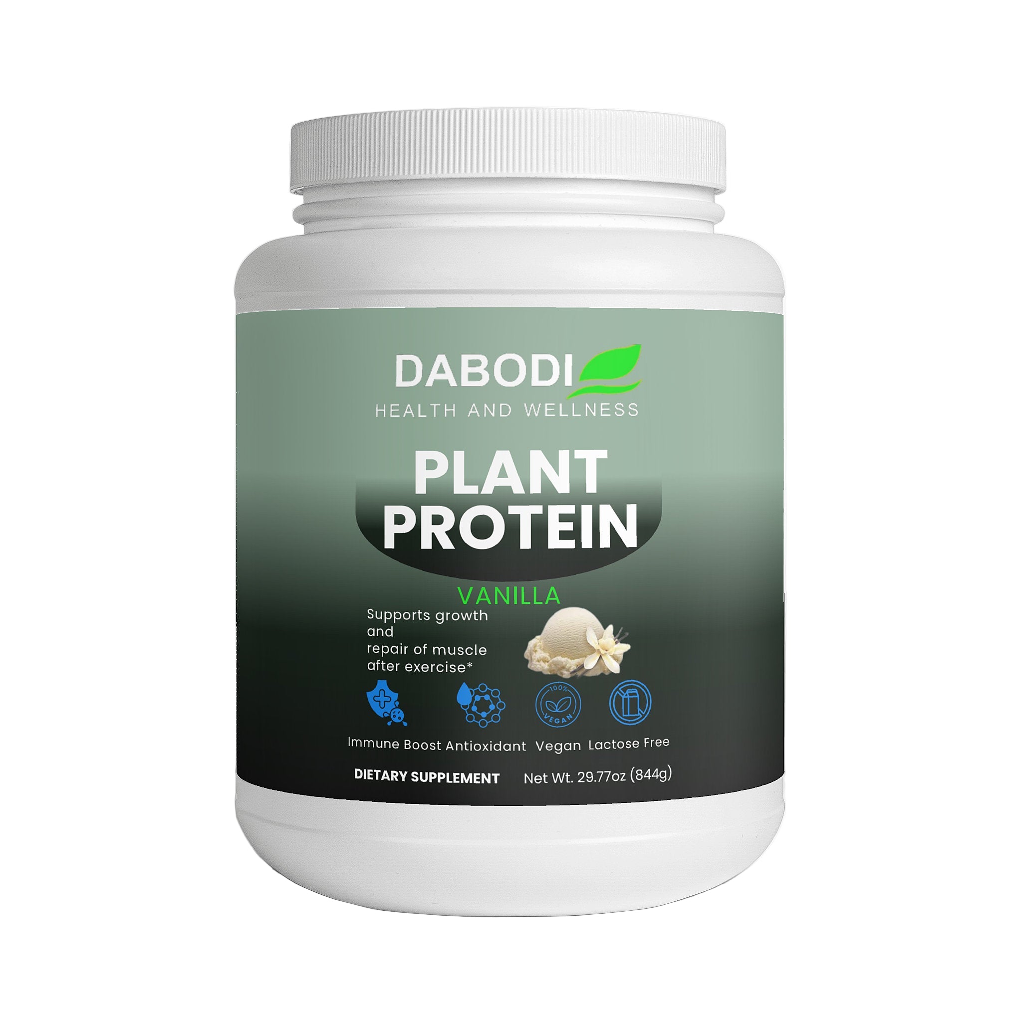 Plant Protein (Vanilla)