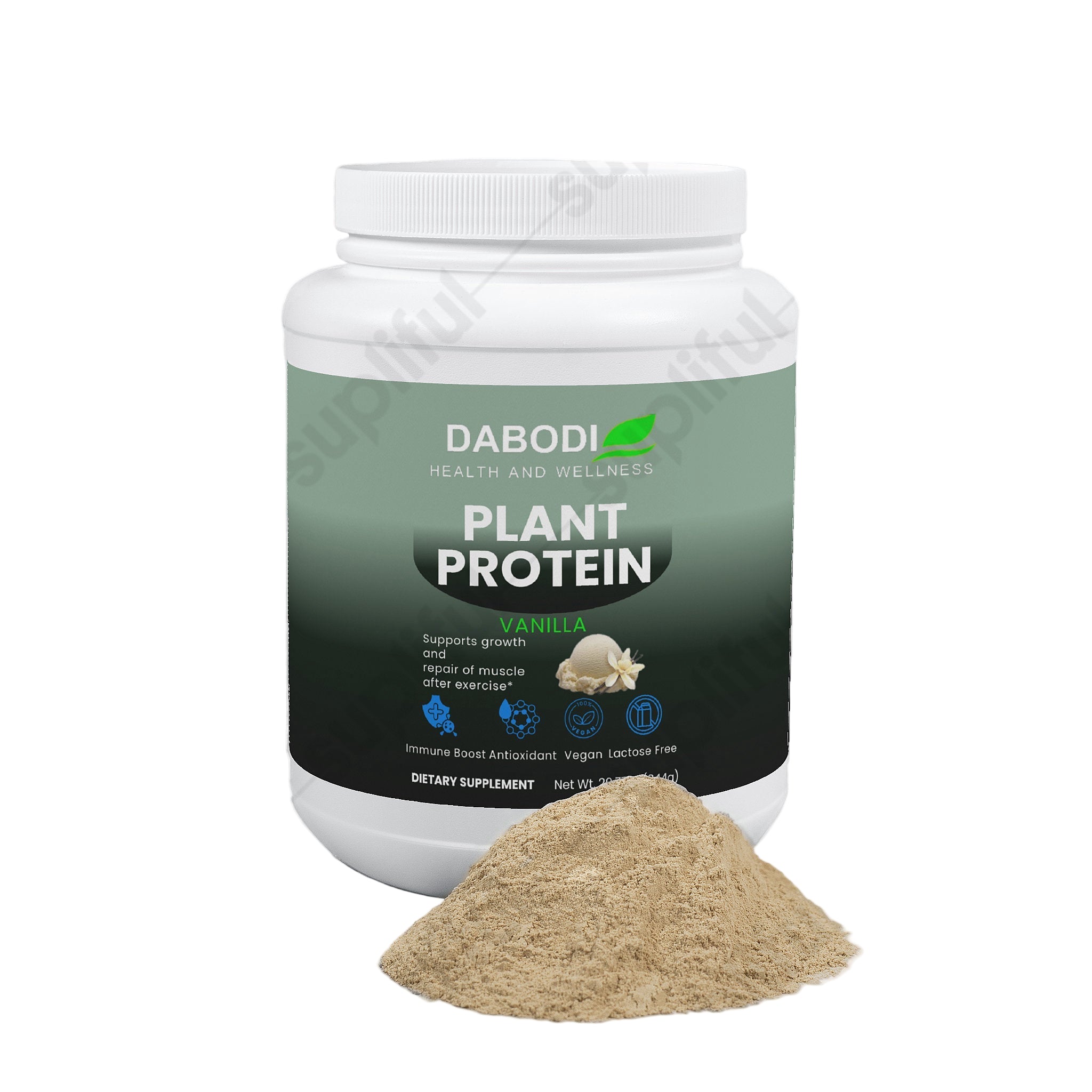 Plant Protein (Vanilla)